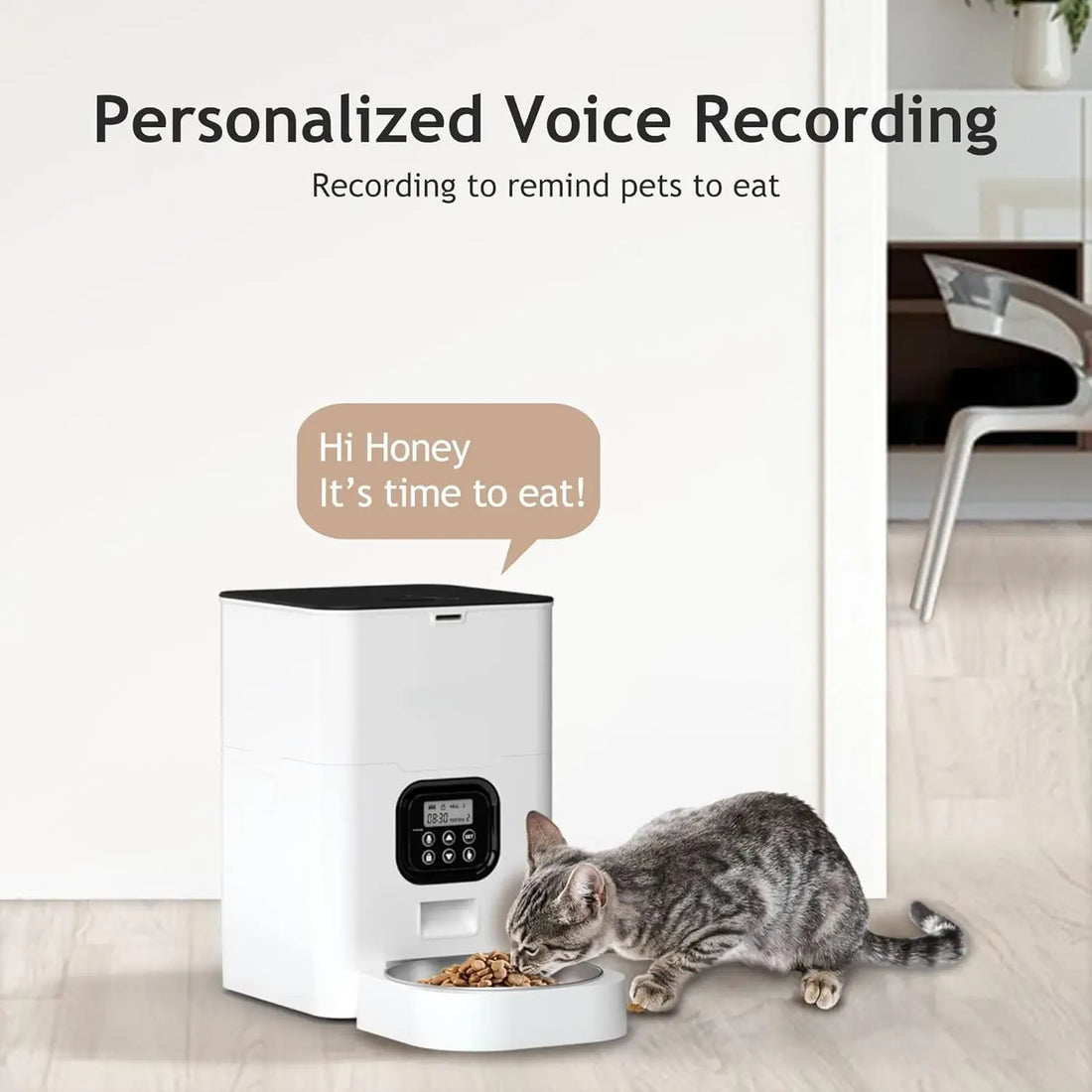 automatic pet feeder