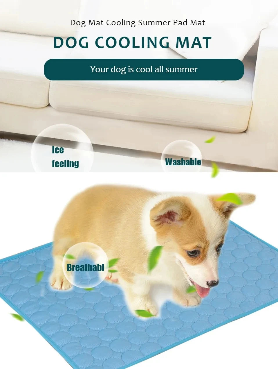 cool dog mat