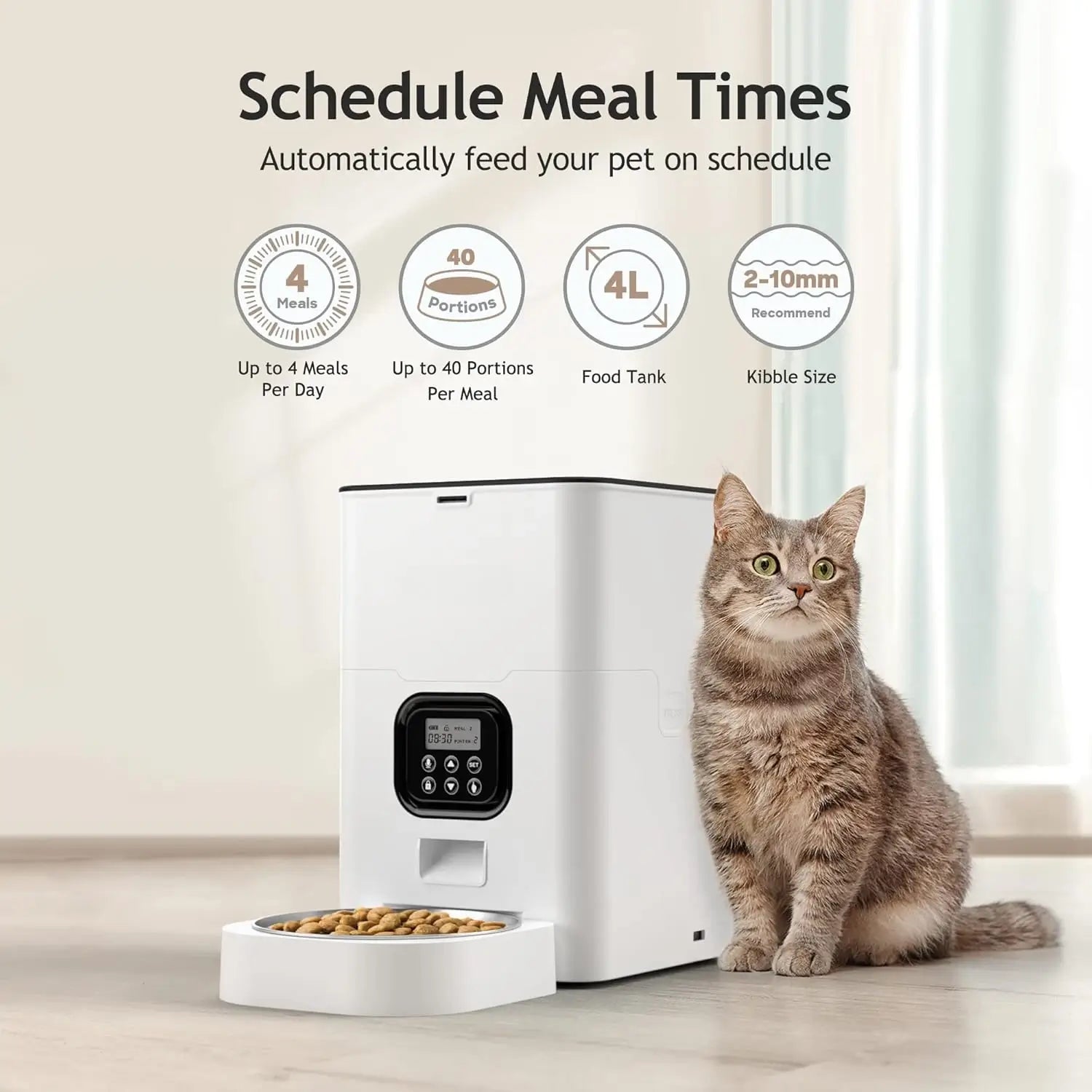 pet automatic feeder